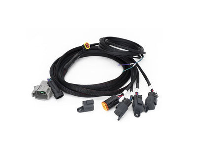 LAZER Four-Lamp Harness Kit  With DT04-08 Connector (4-PIN, Deutsch DT, 12V) For Carbon-6